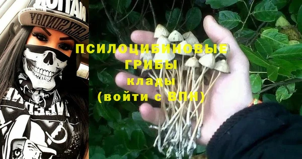 мескалин Аркадак